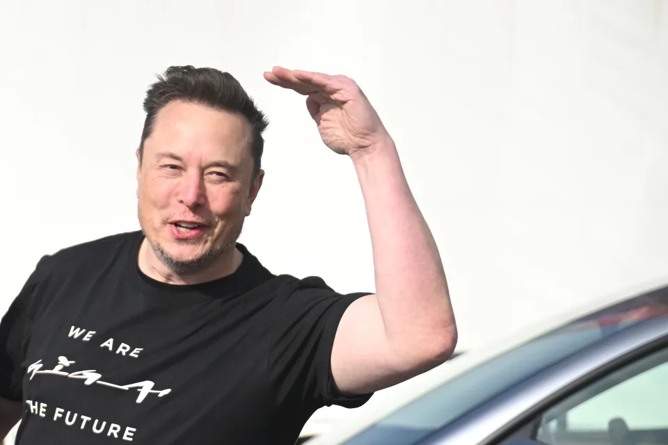 Elon Musk blasts Democrats for 'importing voters'